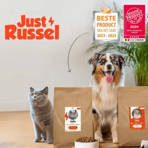 Een innovatieve manier die zorgt voor meer inkomsten